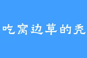 不吃窝边草的秃子