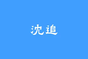 沈追