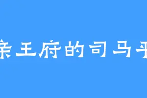 洛亲王府的司马平光
