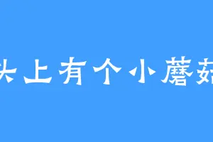 头上有个小蘑菇