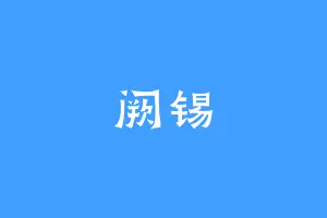阙锡