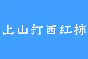 上山打西红柿