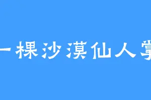 一棵沙漠仙人掌