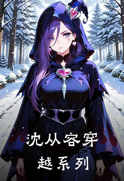 沈从容穿越系列