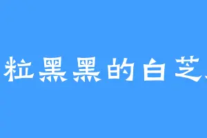 一粒黑黑的白芝麻