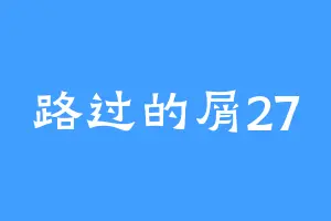 路过的屑27