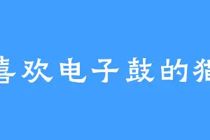 喜欢电子鼓的猫