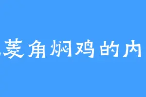 爱吃菱角焖鸡的内洛尘