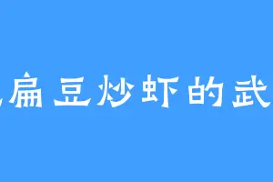 爱吃扁豆炒虾的武文朝