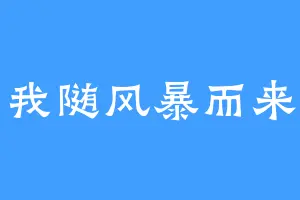 我随风暴而来