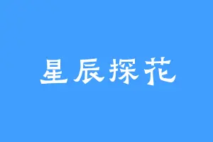 星辰探花
