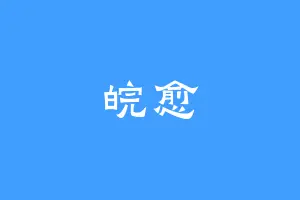 皖愈