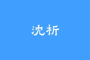 沈析