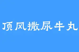 顶风撒尿牛丸