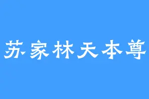 苏家林天本尊