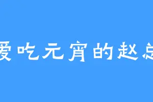 爱吃元宵的赵总