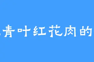 爱吃青叶红花肉的秦季
