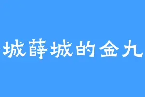 薛城薛城的金九龄