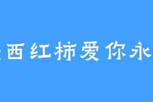 沉默西红柿爱你永不变