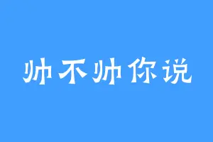帅不帅你说