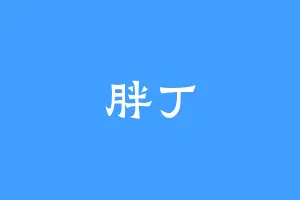 胖丁