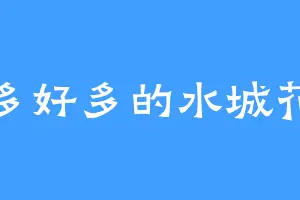 好多好多的水城花音