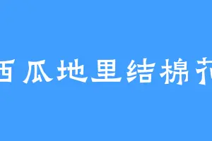 西瓜地里结棉花