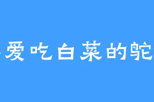 不爱吃白菜的鸵鸟