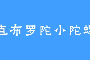 直布罗陀小陀螺