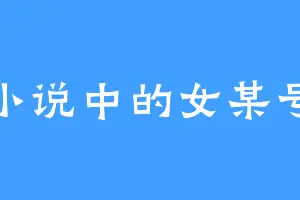 小说中的女某号