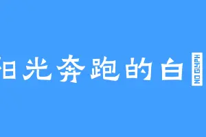 阳光奔跑的白鹡鸰