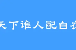 天下谁人配白衣