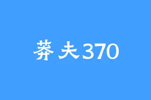莽夫370