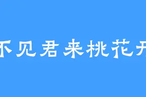 不见君来桃花开