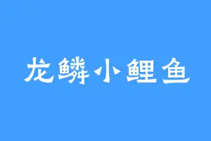 龙鳞小鲤鱼