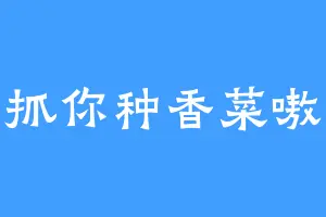 抓你种香菜嗷