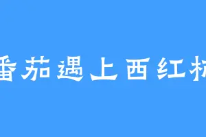 番茄遇上西红柿