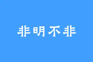 非明不非