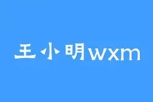 王小明wxm