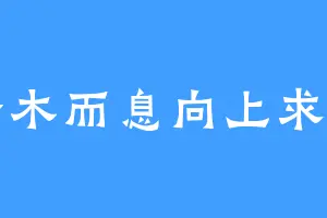 择木而息向上求索