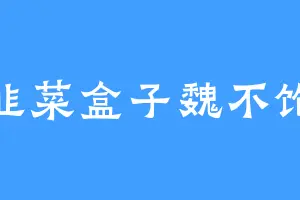 韭菜盒子魏不饱