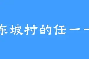 东坡村的任一一