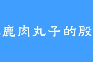 爱吃鹿肉丸子的殷渝薇