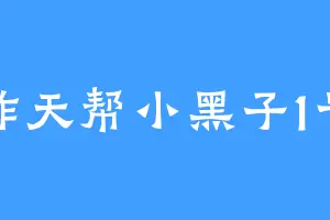 炸天帮小黑子1号