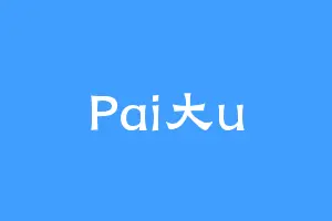 Pai大u