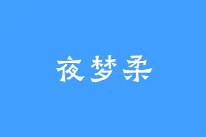 夜梦柔
