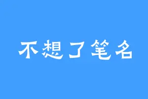 不想了笔名