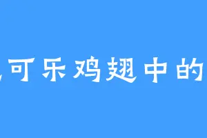 爱吃可乐鸡翅中的尹宝