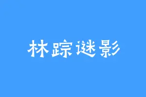 林踪谜影