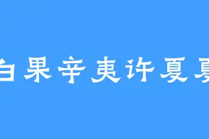 白果辛夷许夏夏